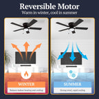 52 Prominence Home Benton Traditional Indoor LED Ceiling Fan with Light, Pull Chains