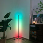 55 RGB Metal Corner Lamp Minimalist LED Floor Lamp