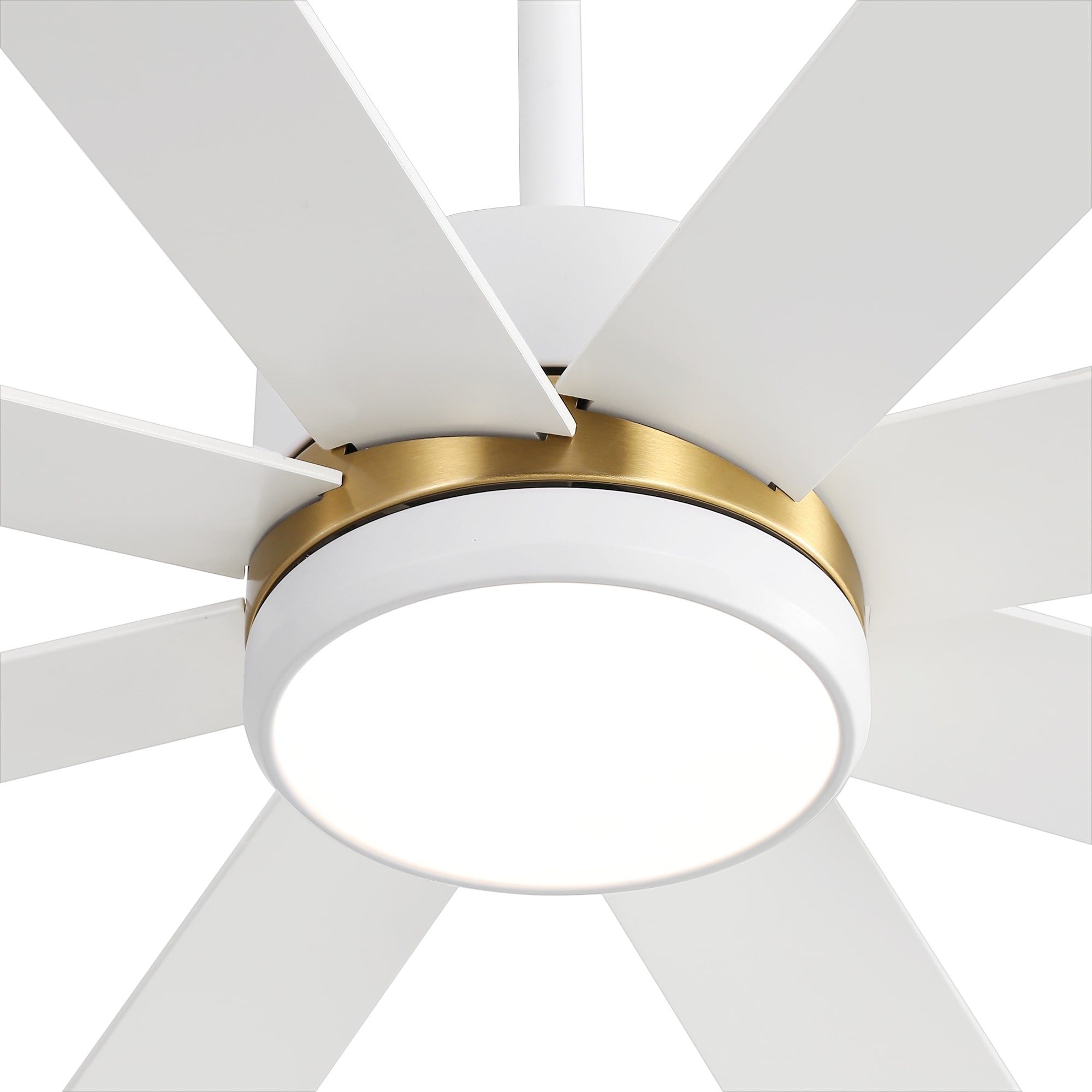 65 Inch 8-Blade Black LED Ceiling Fan with Light and Remote