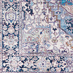 Livabliss Adenia Vintage Medallion Printed Area Rug