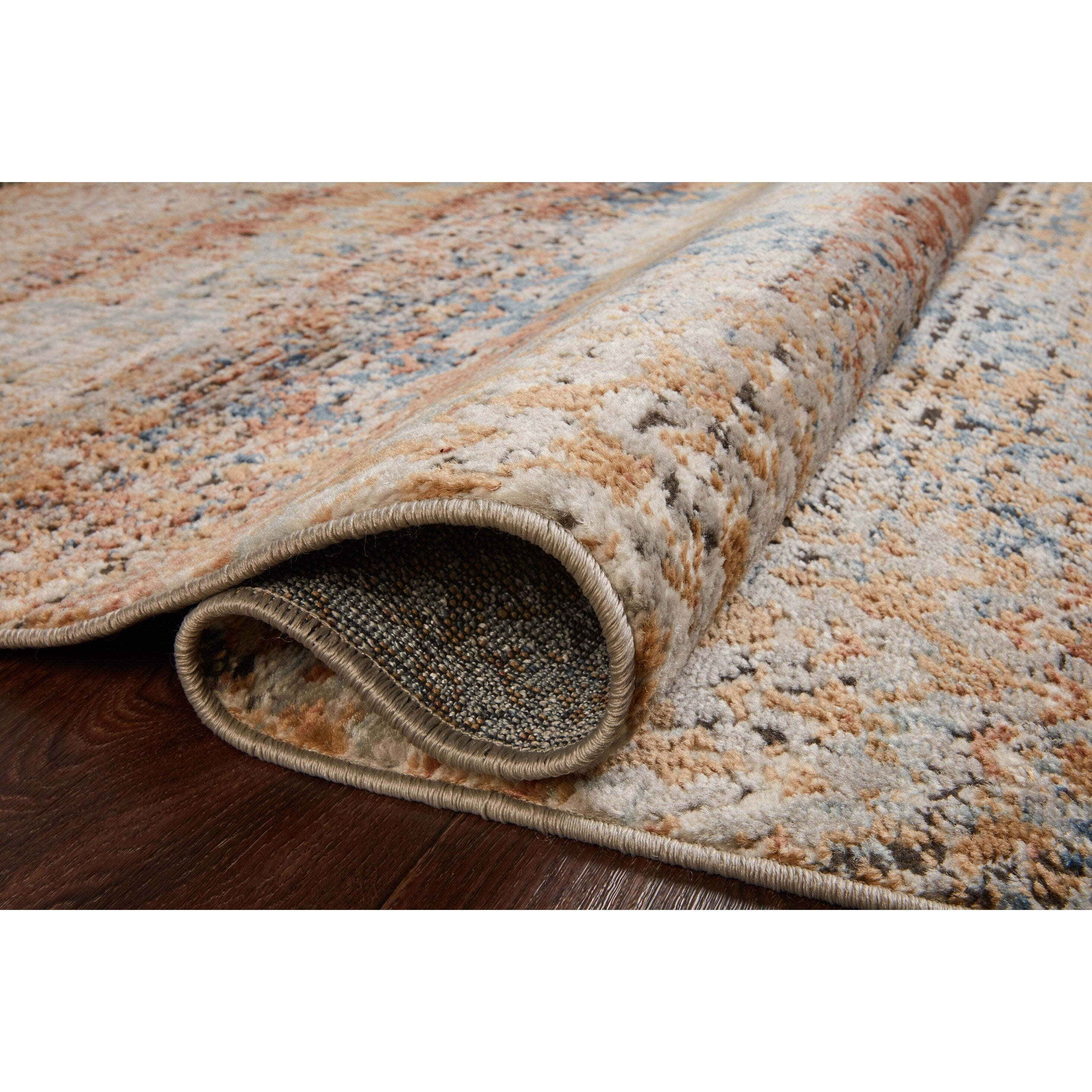 Alexander Home Charlotte Modern Distressed Area Rug