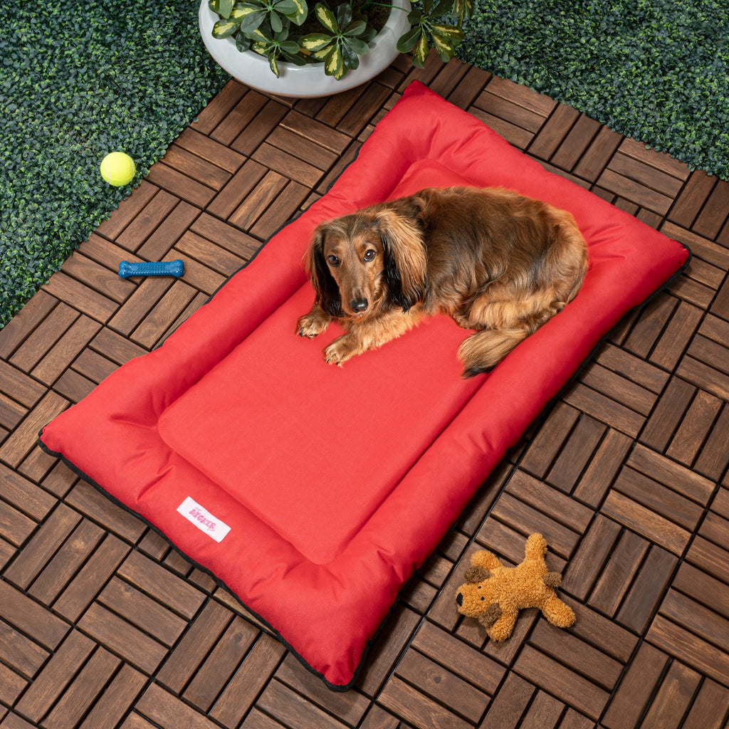 Archie Traditional Oxford Waterproof Indoor/Outdoor Hand-Washable Memory Foam Camping Pet Bed