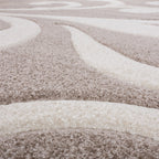 Modern Area Rug Floral Pattern with Contour Cut