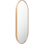Livabliss Aranya Modern Aluminum Oval Pill-Shaped Accent Mirror