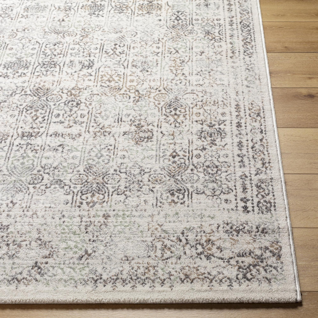 Livabliss Henson Vintage Traditional Area Rug