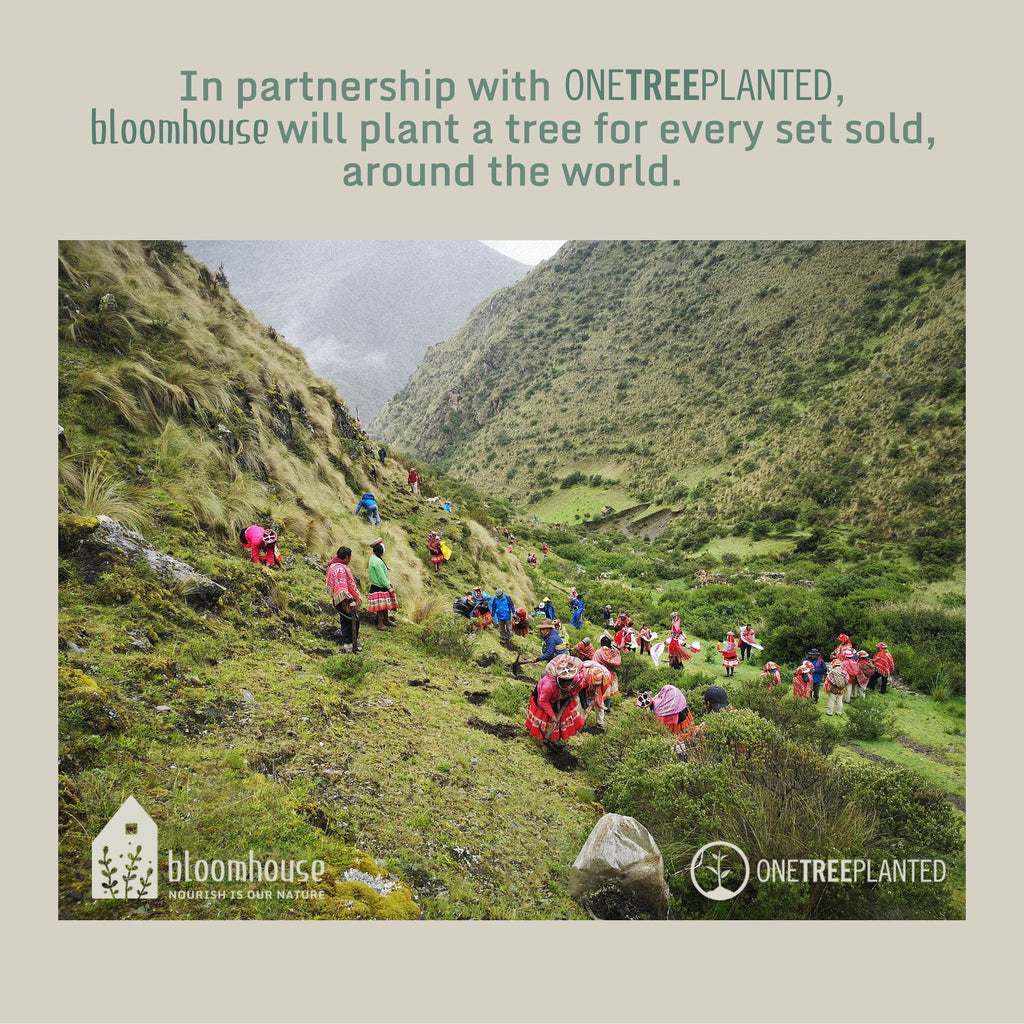 Bloomhouse Santorini Mist 16 Piece Double Bowl Terracotta Reactive Glaze Plates and Bowls Dinnerware Set