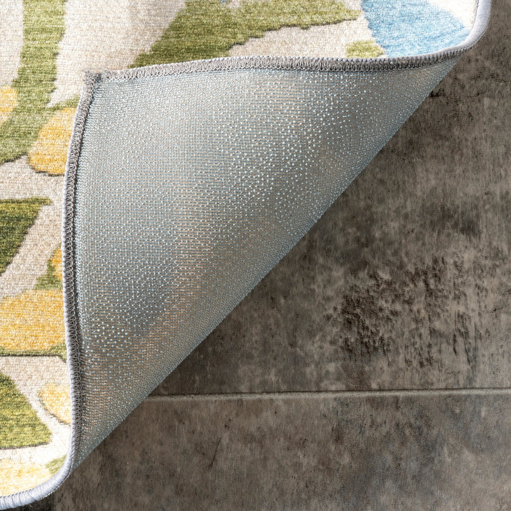 Nuloom Rosana Floral Machine Washable Indoor/Outdoor Area Rug