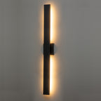 C Cattleya 2-Light Matte Black Aluminum LED Outdoor Wall Sconce