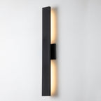 C Cattleya 2-Light Matte Black Aluminum LED Outdoor Wall Sconce