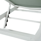 Cape Coral Outdoor Aluminum Chaise Lounge (Set of 2) by Christopher Knight Home - 77.56 D x 25.20 W x 11.80 H