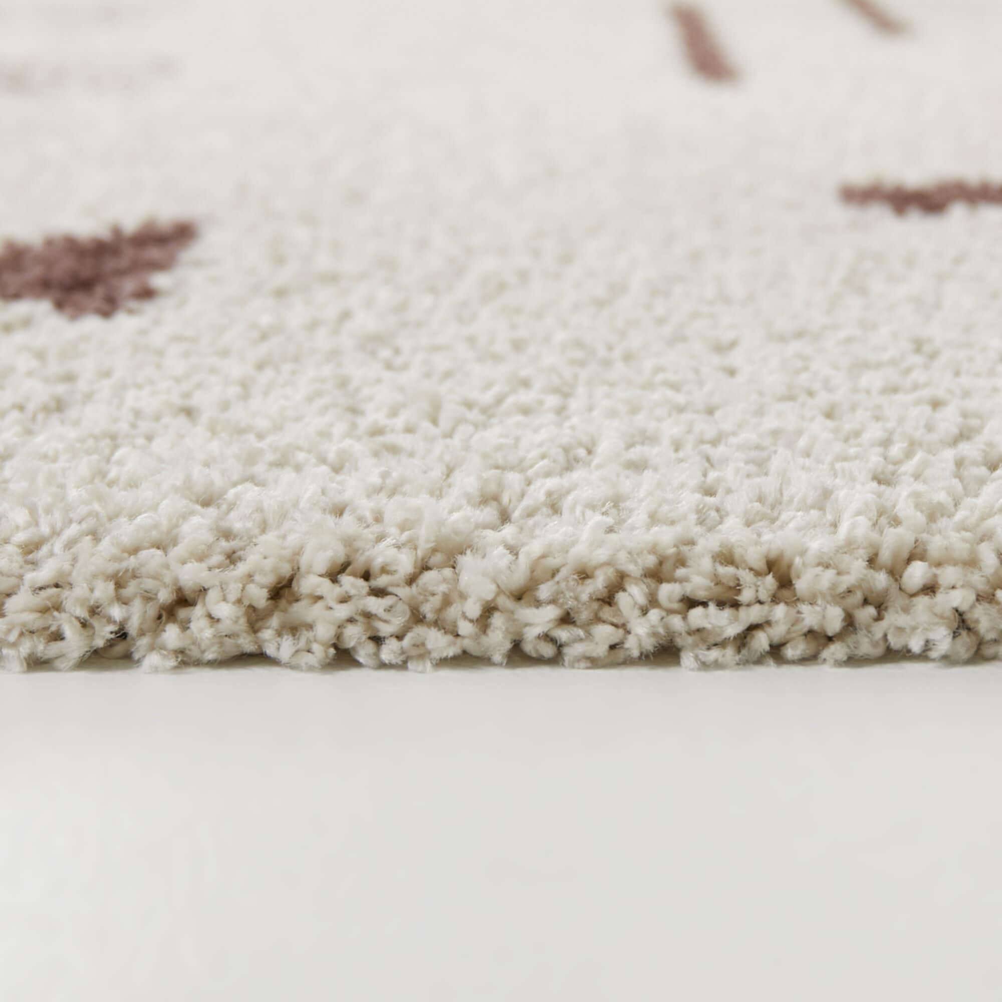 Carson Shag Area Rug