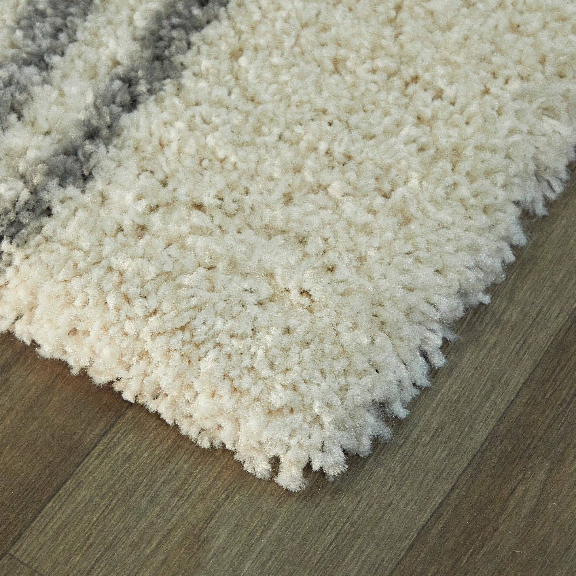 Carson Shag Area Rug
