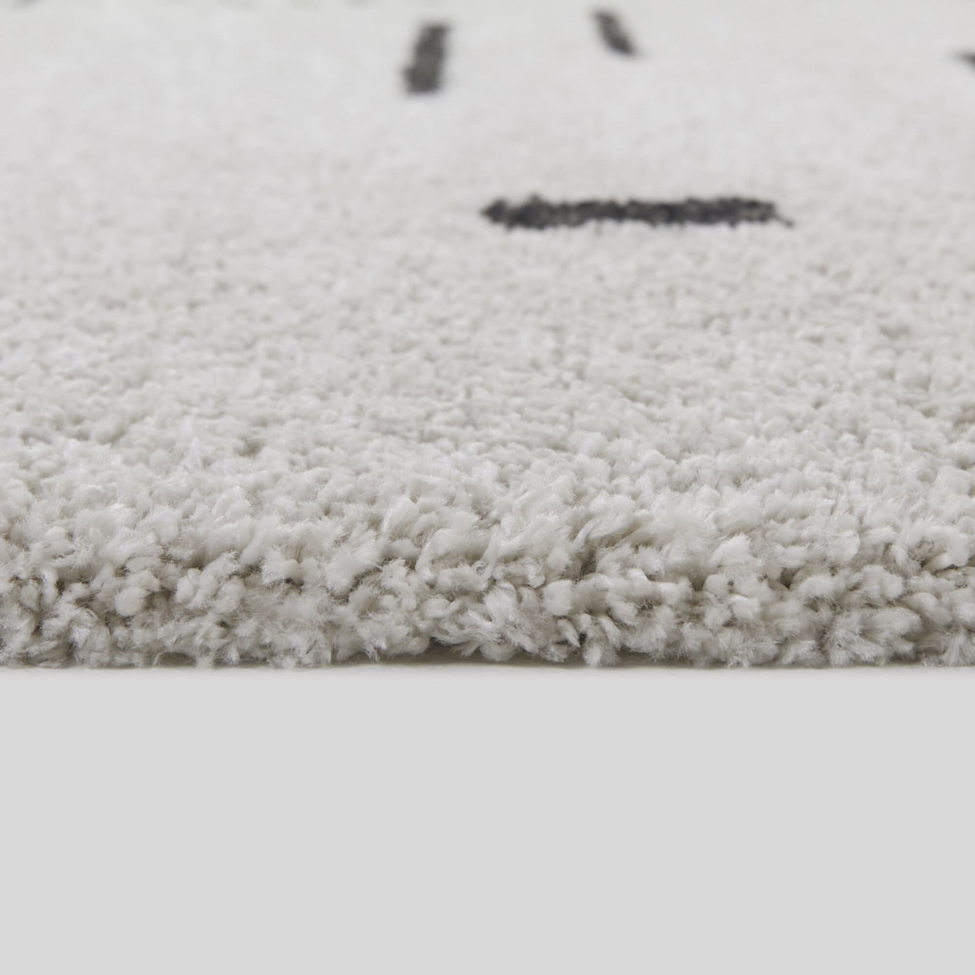 Carson Shag Area Rug