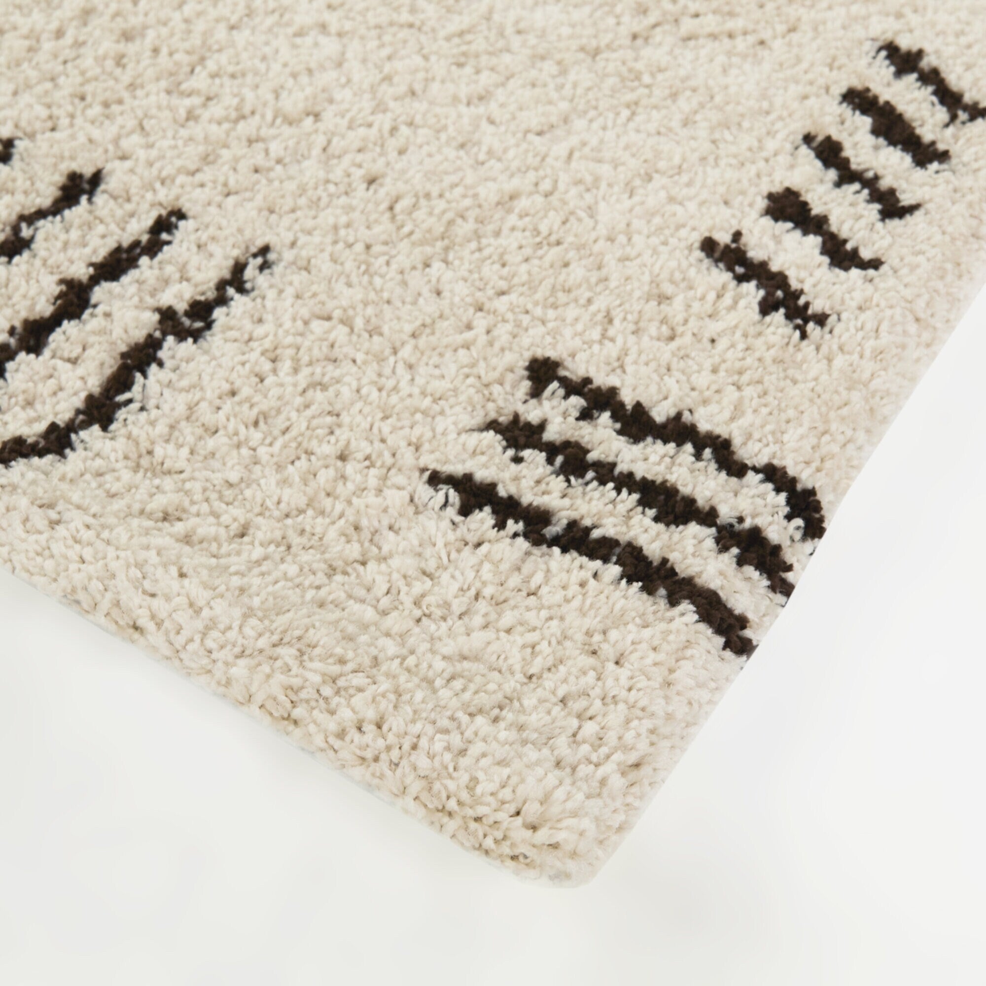 Carson Shag Area Rug