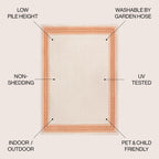 JONATHAN Y Havana Classic Diamond Border Indoor/Outdoor Area Rug