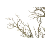 96 Twig Deadwood Tree