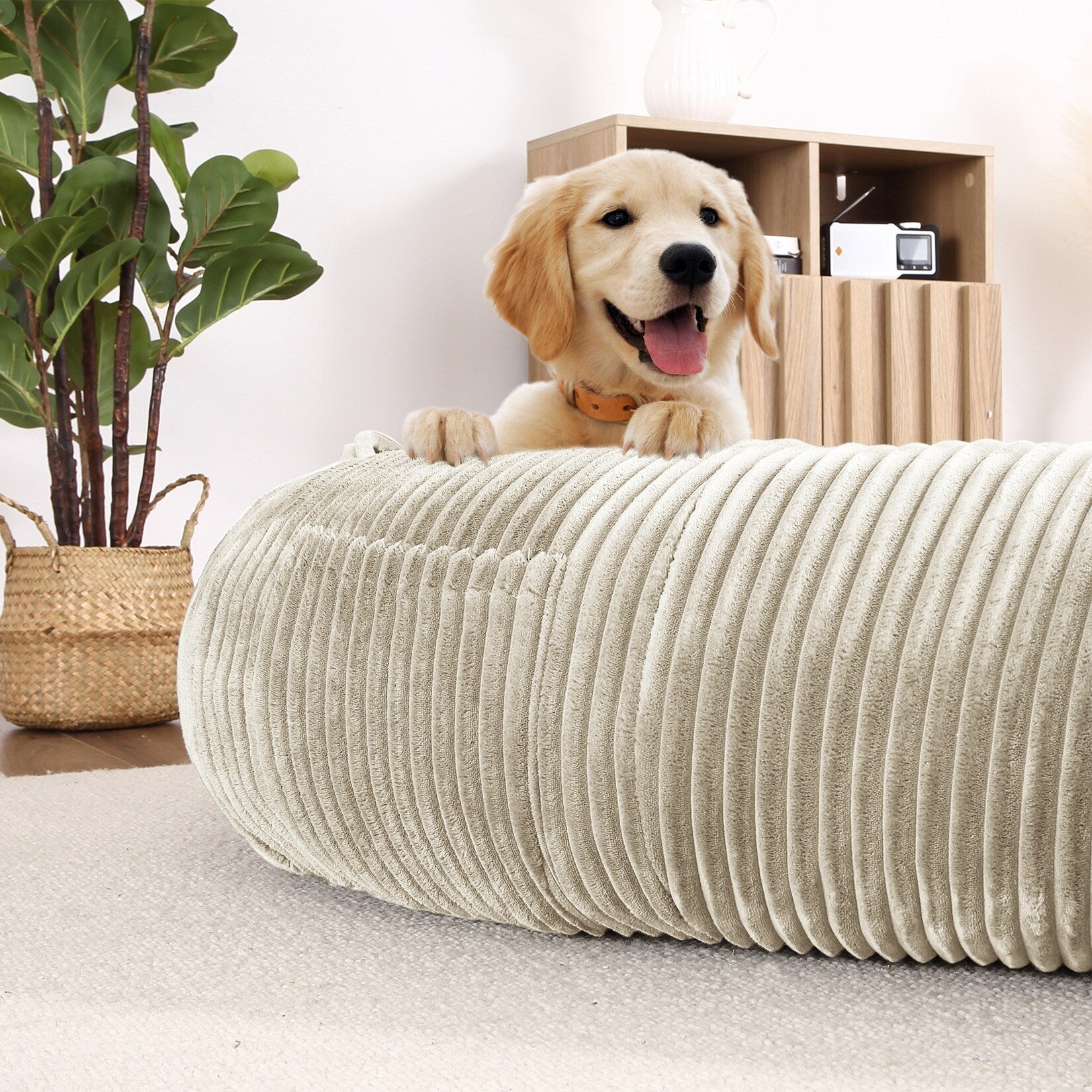 Giant Dog Bed for Humans 71x48x14 Large Dog Bed for People Adults, Washable Napping Dog Bed