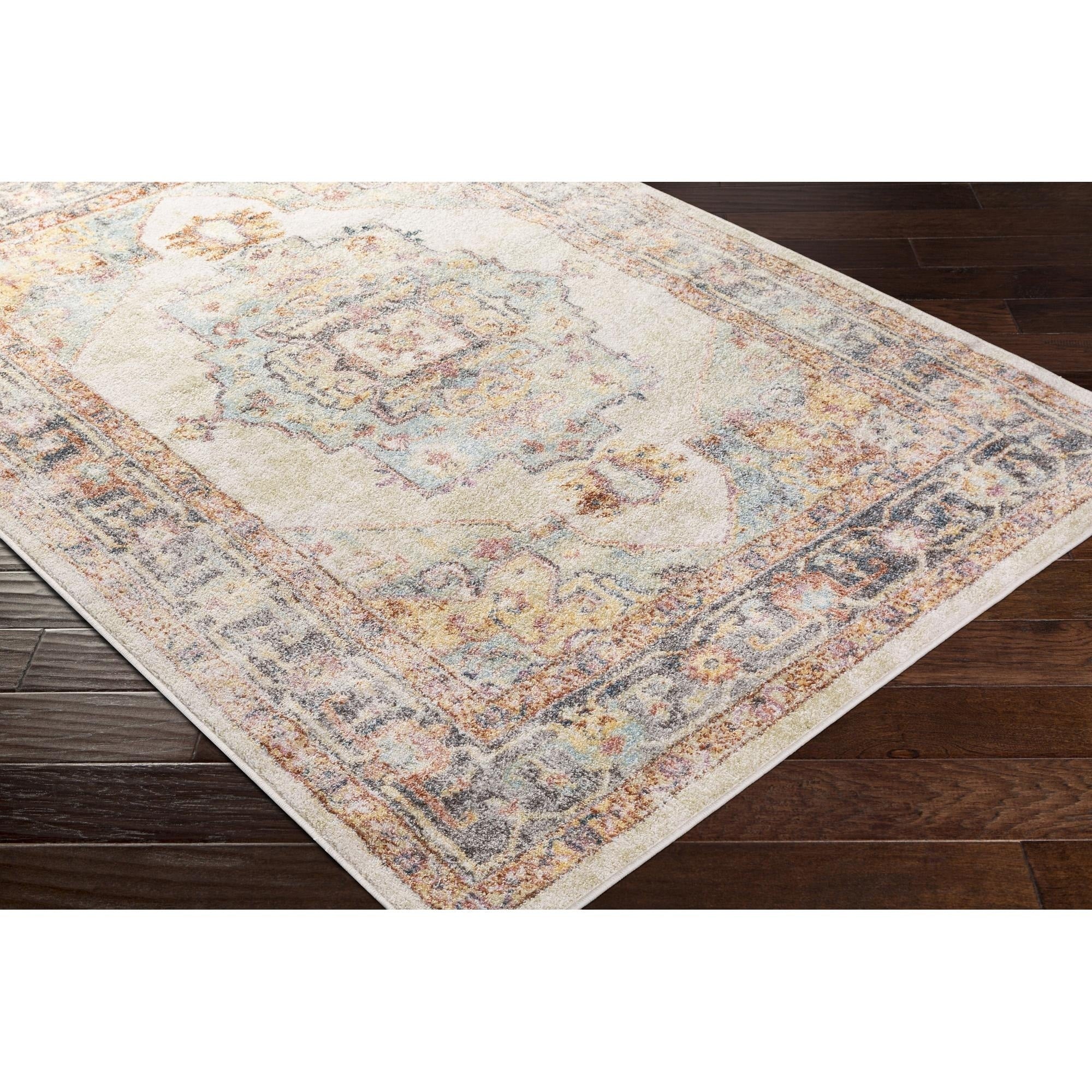 Livabliss New Mexico Updated Traditional Medallion Area Rug