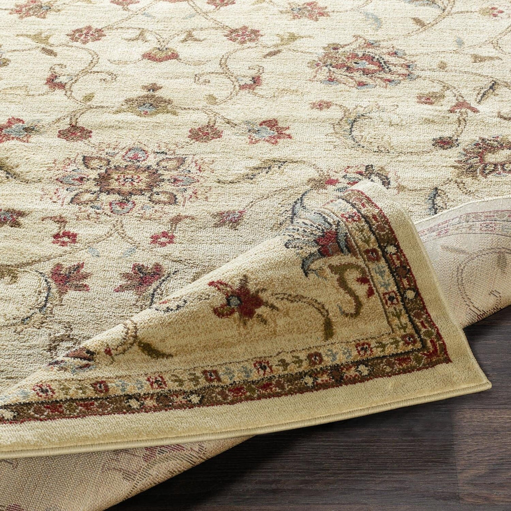 Livabliss Riley Updated Traditional Oriental Area Rug