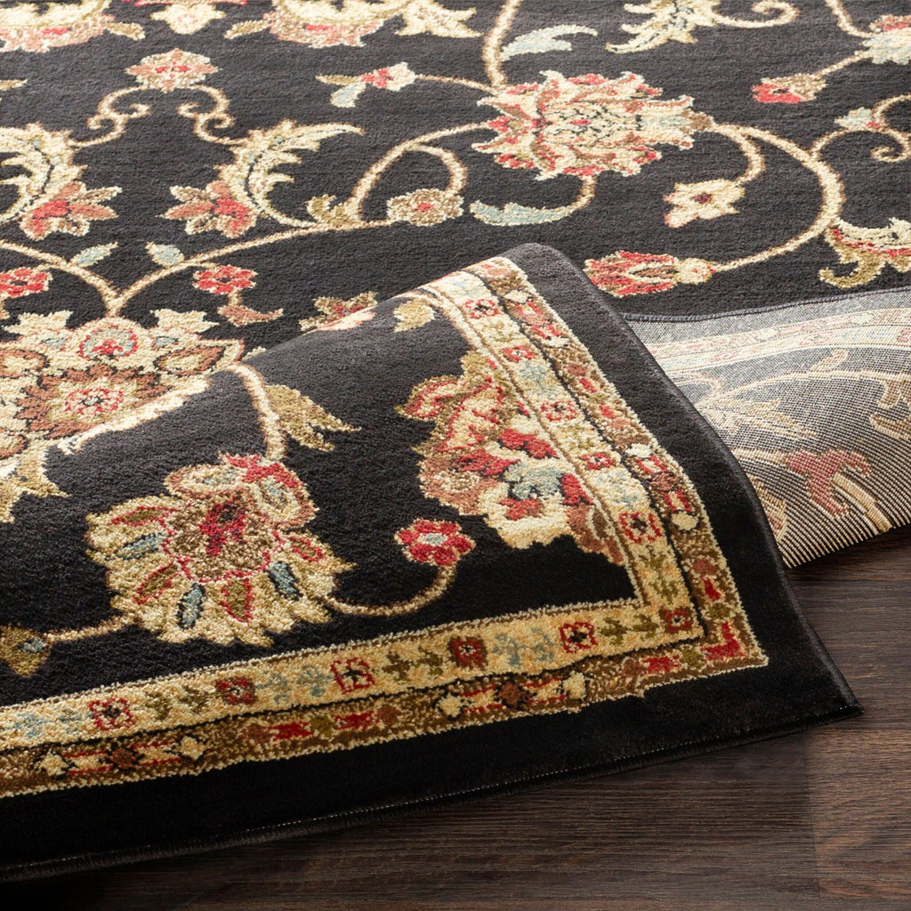 Livabliss Riley Updated Traditional Oriental Area Rug