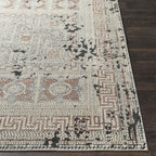Livabliss Venezia Eclectic Oriental Area Rug