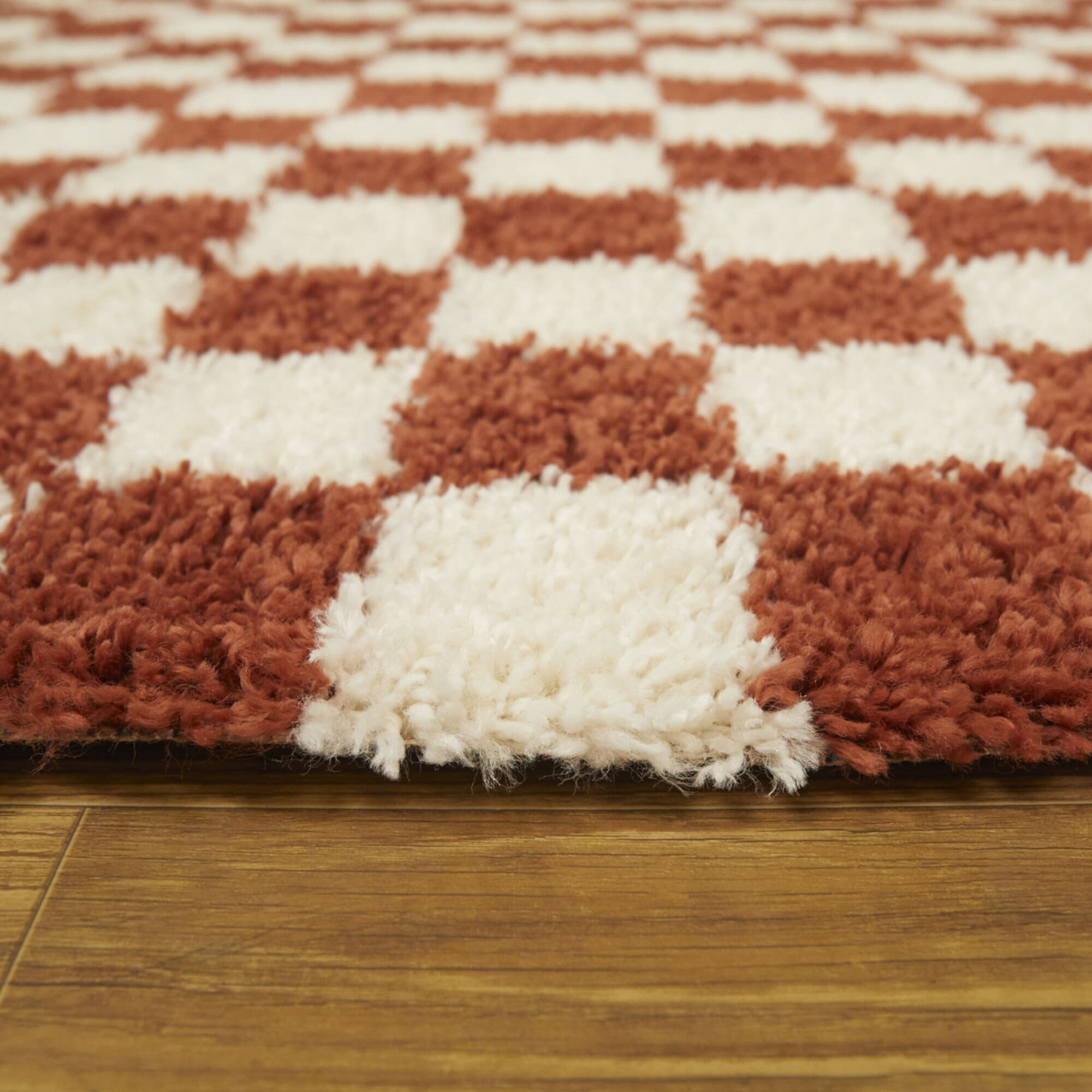 Mackie Checkered Shag Area Rug