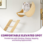 Moasis Cat Wall Shelves Set Wall Mounted Wood Cat Climber Set