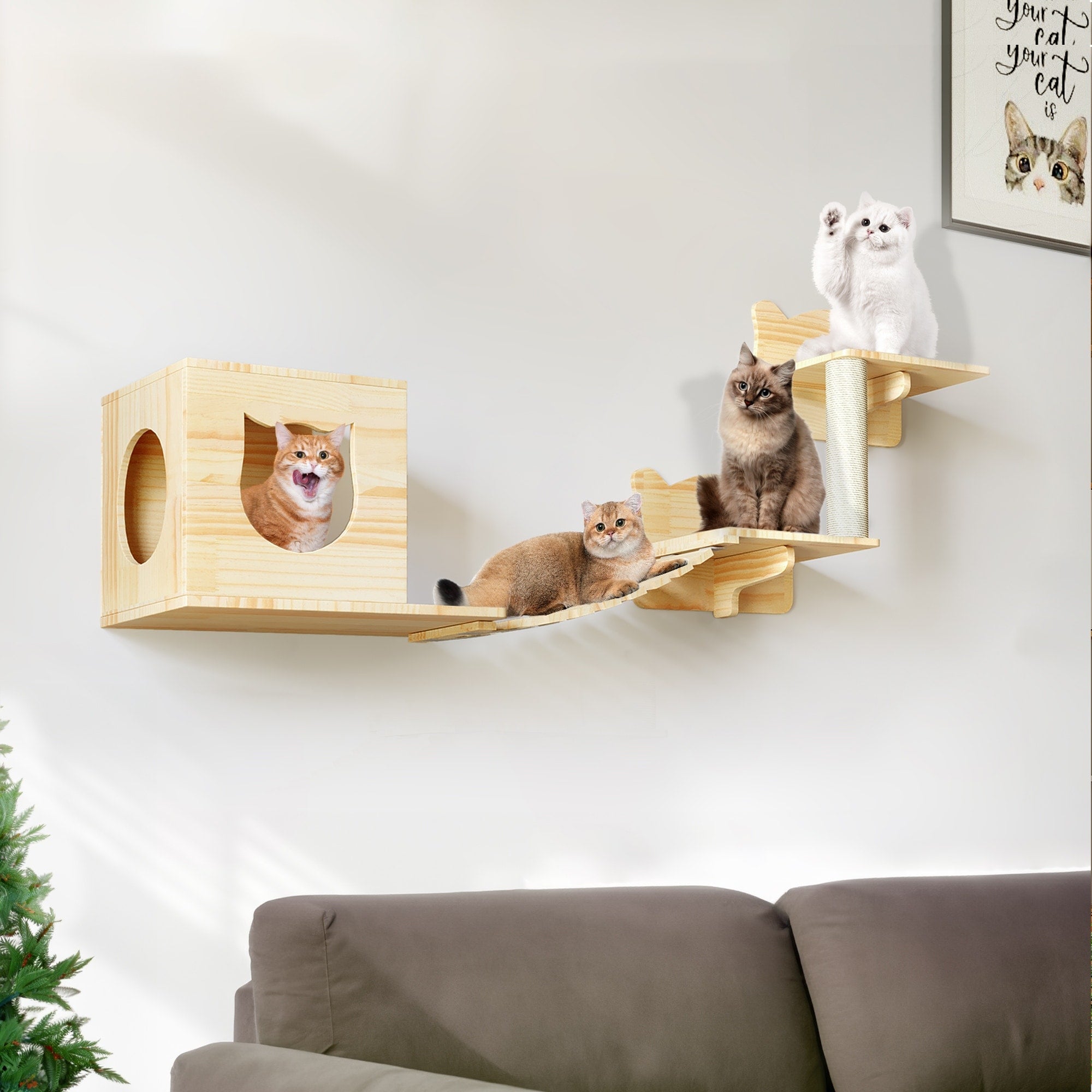 Moasis Cat Wall Shelves Set Wall Mounted Wood Cat Climber Set