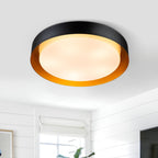 Modern Minimalist 2/3/5-Lights Metal Shaded Drum Flush Mount Ceiling Light