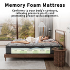 Modland 14-inch Hybrid Medium Euro Top Mattress, Pocket Spring Mattress in a Box