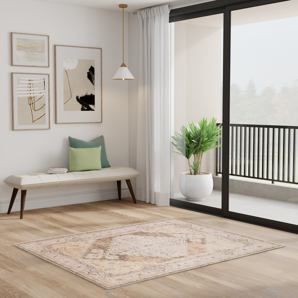 Nourison Abby Machine Washable Indoor only Persian Distressed Area Rug