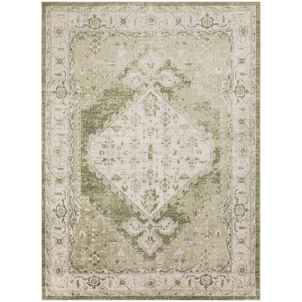 Nourison Abby Machine Washable Indoor only Persian Distressed Area Rug