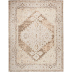 Nourison Abby Machine Washable Indoor only Persian Distressed Area Rug