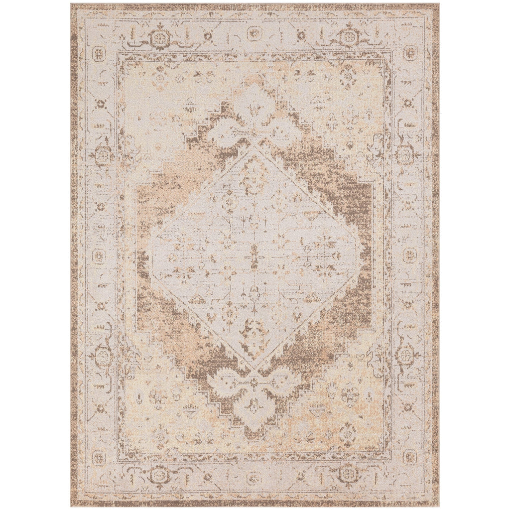 Nourison Abby Machine Washable Indoor only Persian Distressed Area Rug