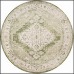 Nourison Abby Machine Washable Indoor only Persian Distressed Area Rug