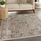 Nourison Concerto Classic Persian Medallion Area Rug.