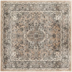Nourison Concerto Classic Persian Medallion Area Rug.