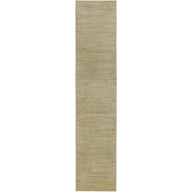 Nourison Modern Solid Indoor/Outdoor Area Rug