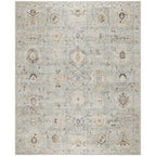 Nourison Oushak Home Indoor Persian Area Rug
