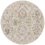 Nourison Oushak Home Indoor Persian Area Rug