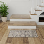 Nourison Oushak Home Indoor Persian Area Rug