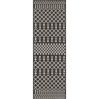 Nourison Selerno Indoor/Outdoor Moroccan Area Rug.
