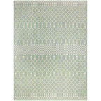 Nourison Selerno Indoor/Outdoor Moroccan Area Rug.