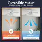 Prominence Home Renton Traditional Farmhouse Indoor Ceiling Fan