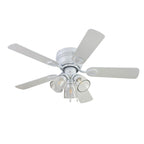 Prominence Home Renton Traditional Farmhouse Indoor Ceiling Fan