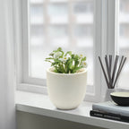 Tapered Round MgO Planter, Indoor and Outdoor