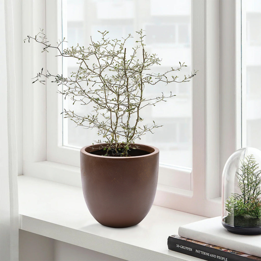 Tapered Round MgO Planter, Indoor and Outdoor