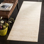 SAFAVIEH Adirondack Mieko Modern Ombre Distressed Area Rug