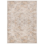 SAFAVIEH Adirondack Muzeyyen Ombre Distressed Rug