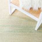 SAFAVIEH Adirondack Muzeyyen Ombre Distressed Rug